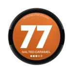 Salted Caramel 16mg 77