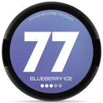 Blueberry Ice 16mg 77
