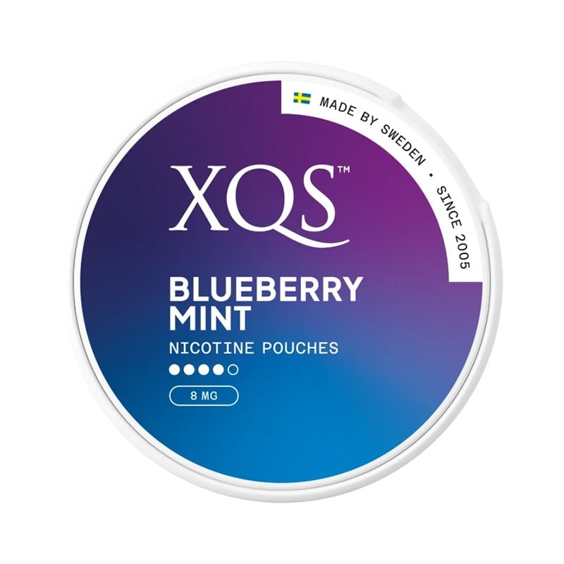 Blaubeere-Minze 8 mg XQS Nikotinbeutel