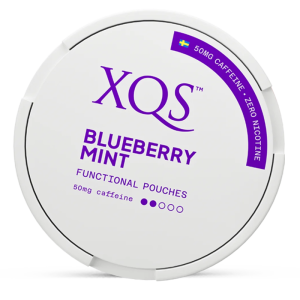 Fruity and fresh energy pouch with blueberry and mint 0mg XQS