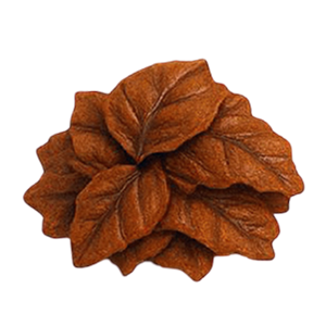 Group 26