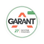 Ice Guava 20mg Classic Edition GARANT