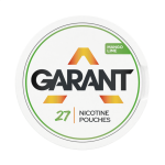 Mango Lime 20mg Classic Edition GARANT