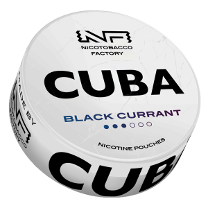 black currant