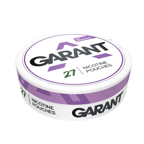 Ice Blueberry 20mg GARANT