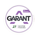 Ice Blueberry 11mg GARANT