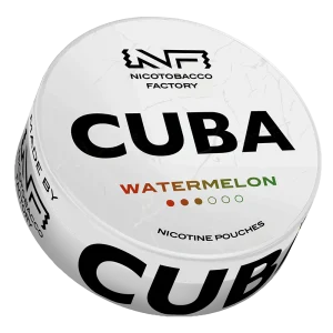 watermelon-1.png