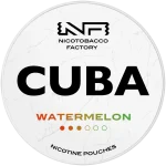 Watermelon 16mg CUBA White