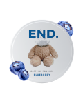 Blueberry 100mg END Caffeine Pouches