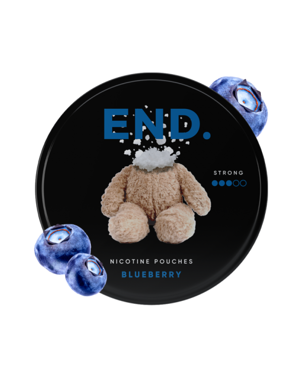 Blueberry 20mg END Nicotine Pouches