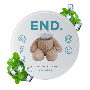 Ice Mint Day END Nootropic Pouches