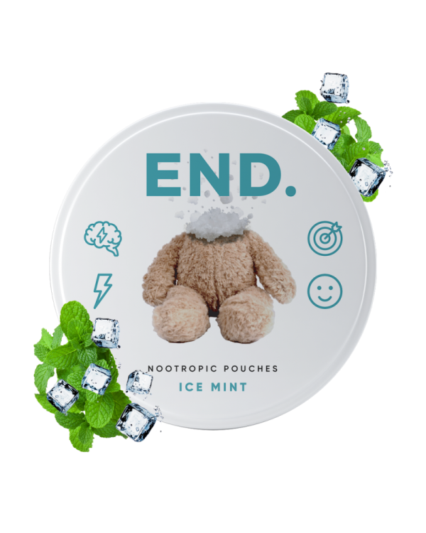 Ice Mint Day END Nootropic Pouches