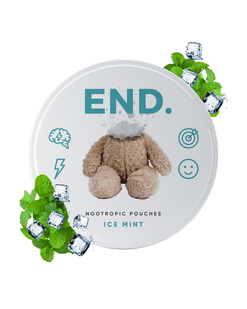 Ice Mint Day END – saszetki z preparatem nootropowym