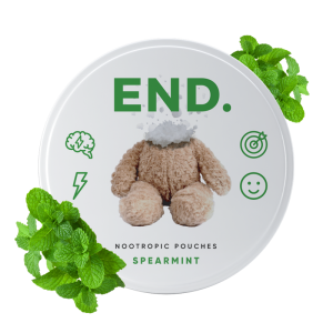 Spearmint Day END Nootropic Pouches
