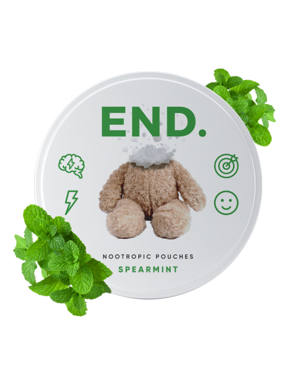 Spearmint Day END Nootropic Pouches