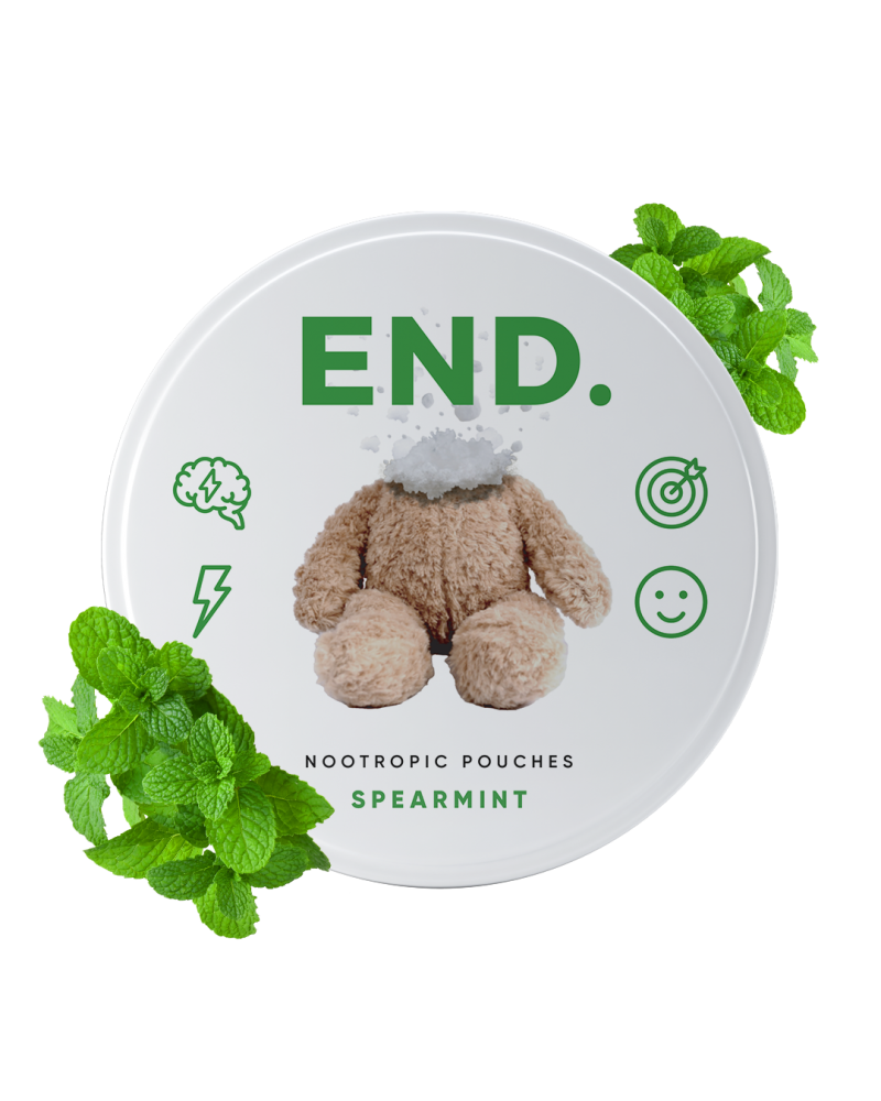Spearmint Day END – saszetki z preparatem nootropowym
