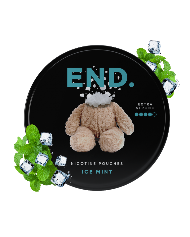 Ice Mint 20 mg – saszetki nikotynowe END