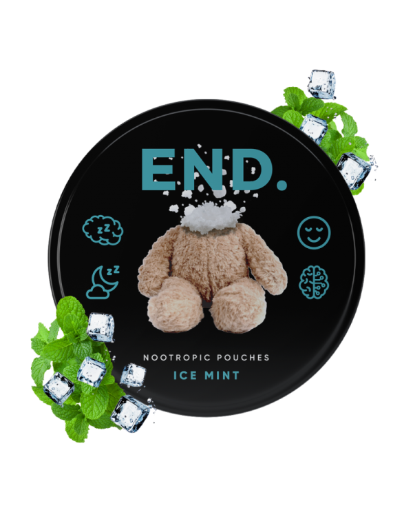 Cold Mint Night END Nootropic Pouches