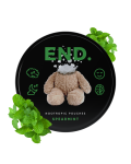 Spearmint Night END Nootropic Pouches