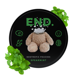 Spearmint Night END Nootropic Pouches