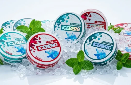 Iceberg-Nikotinbeutel-Geschmacksrichtungen