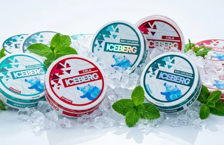 Iceberg-Nikotinbeutel-Geschmacksrichtungen